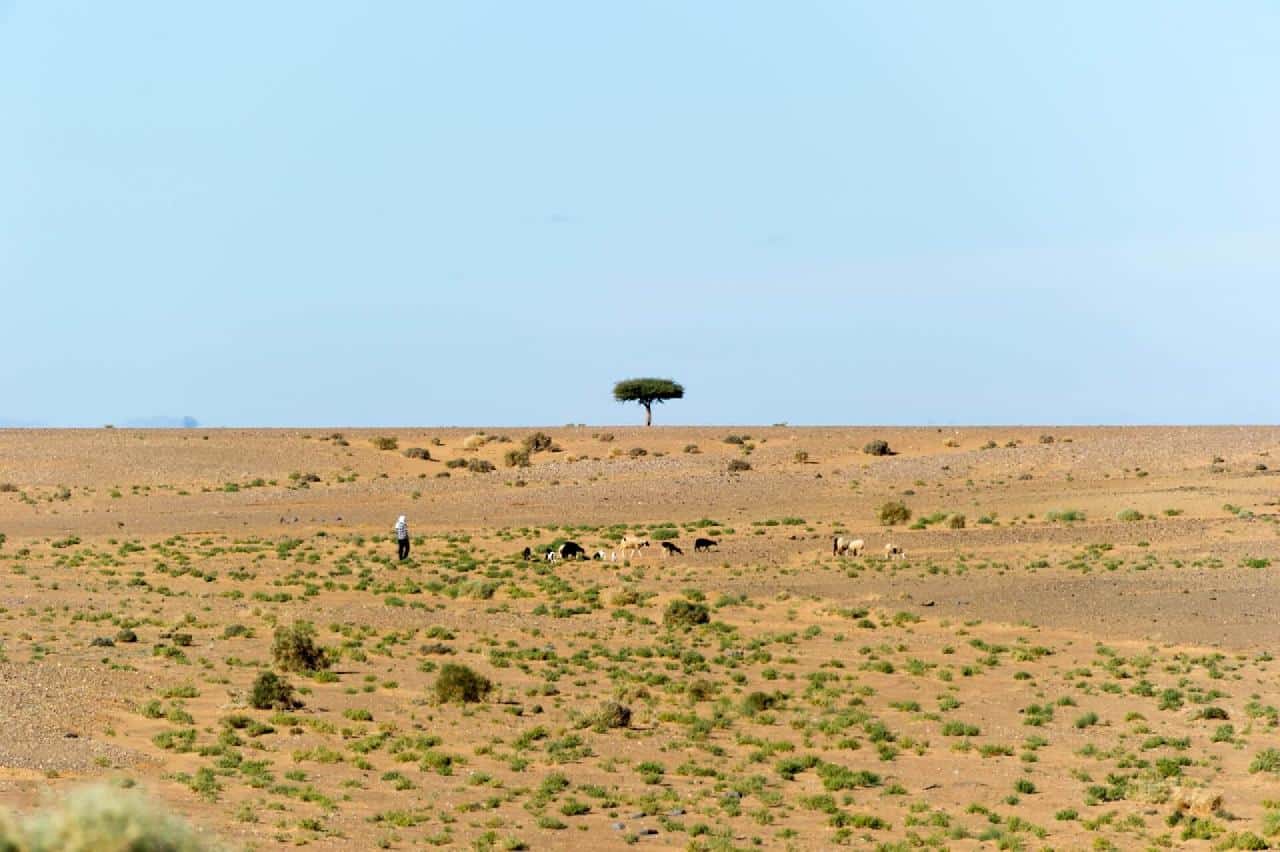 Oplev den storslåede natur helt tæt på i Afrika